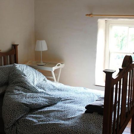 Relaxing Pet Friendly 2-Bed Cottage In Rhandirmwyn Лландовері Екстер'єр фото