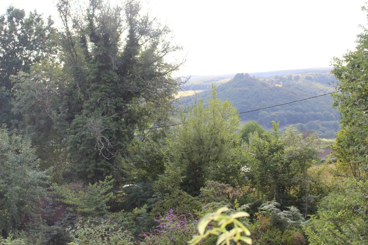 Relaxing Pet Friendly 2-Bed Cottage In Rhandirmwyn Лландовері Екстер'єр фото
